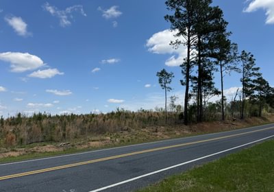 411 IMG 7186