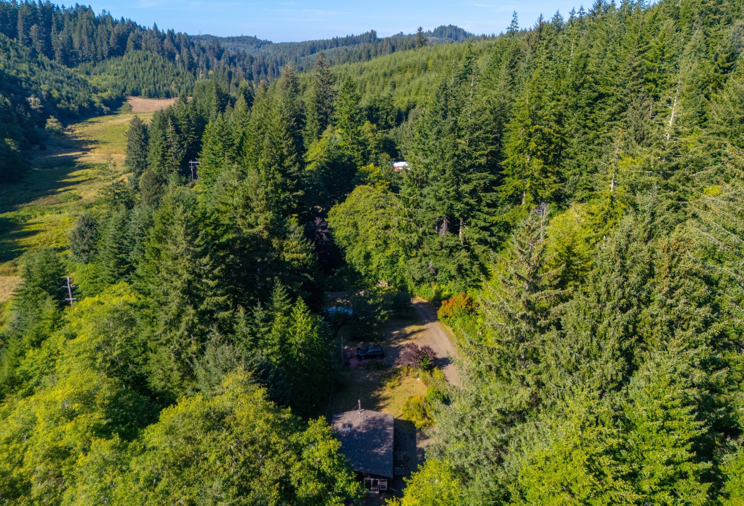 Photo 4 of Sitka Woodland, 35.37 acres, Lincoln County, Oregon