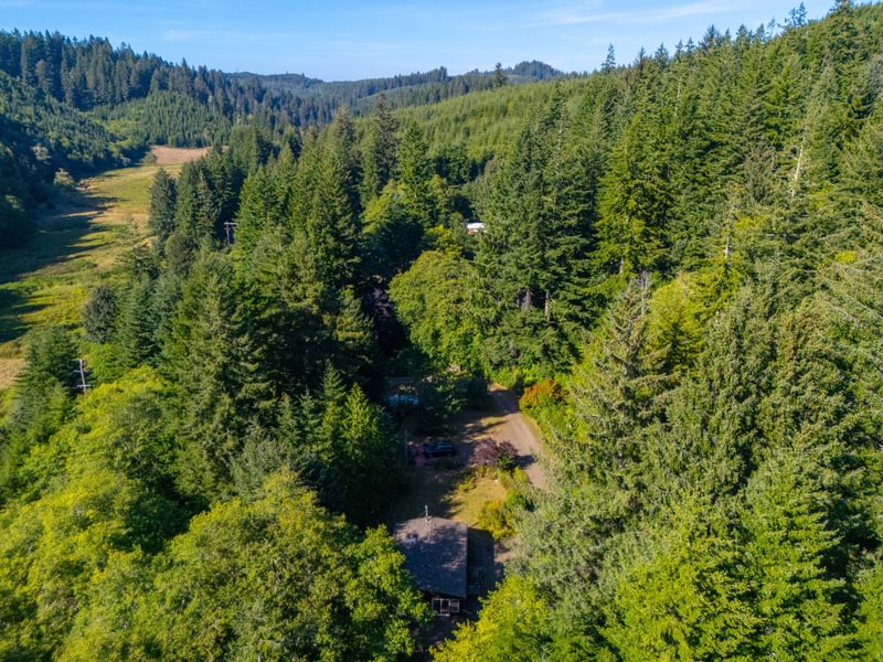 Photo 4 of Sitka Woodland, 35.37 acres, Lincoln County, Oregon