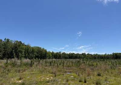 412 IMG 1760