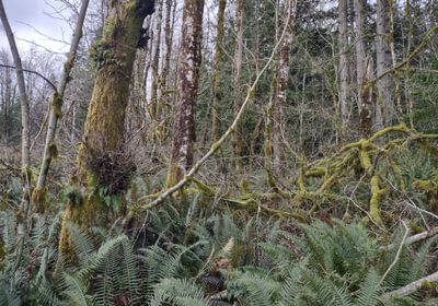 414 IMG 20260114 132254923 HDR