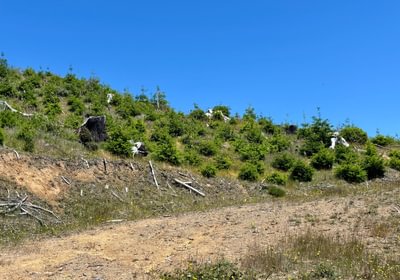 414 IMG 3620