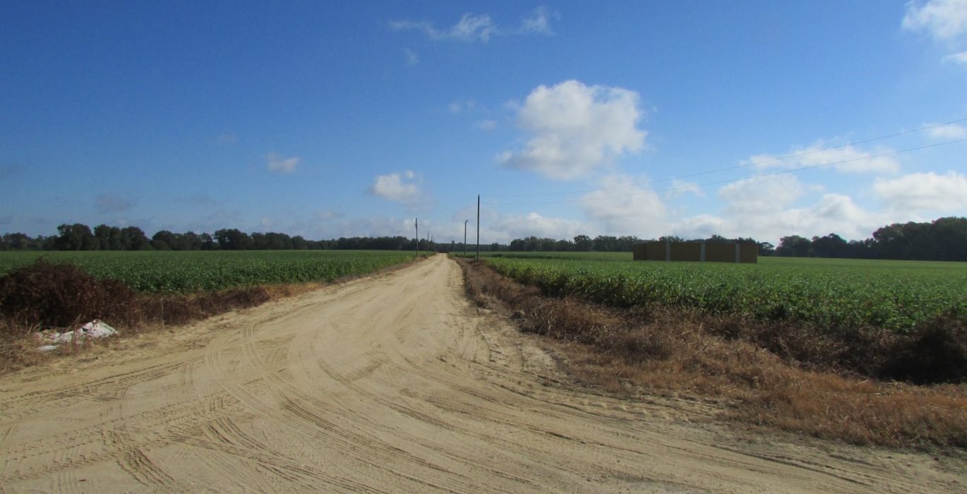 415 1 IMG 1194