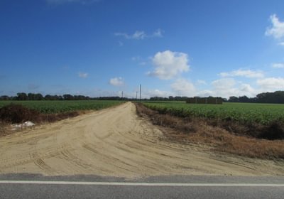 415 1 IMG 1194