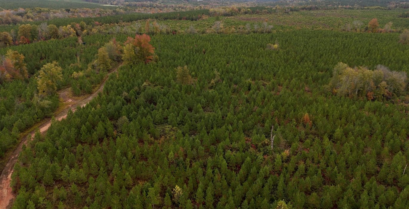 415 AFM Richmond 126 Tract Photo 9