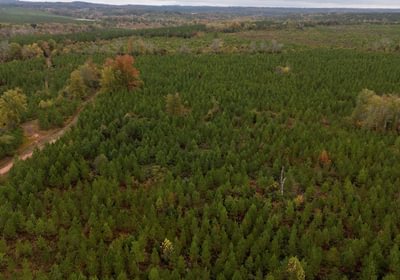 415 AFM Richmond 126 Tract Photo 9