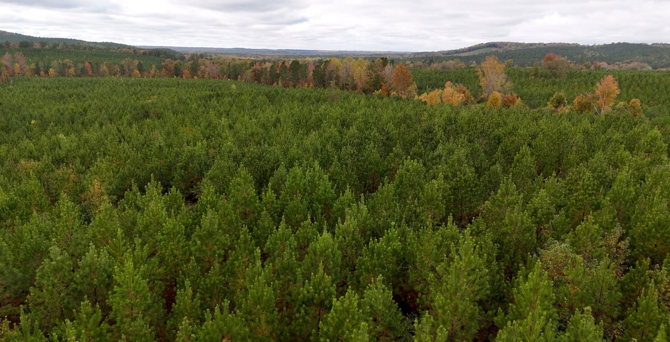 416 AFM Richmond 126 Tract Photo 18