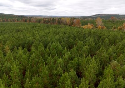 416 AFM Richmond 126 Tract Photo 18