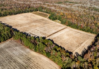 416 DJI 20251106141915 0475 D 1