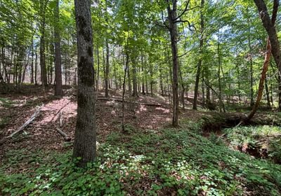 416 IMG 6703
