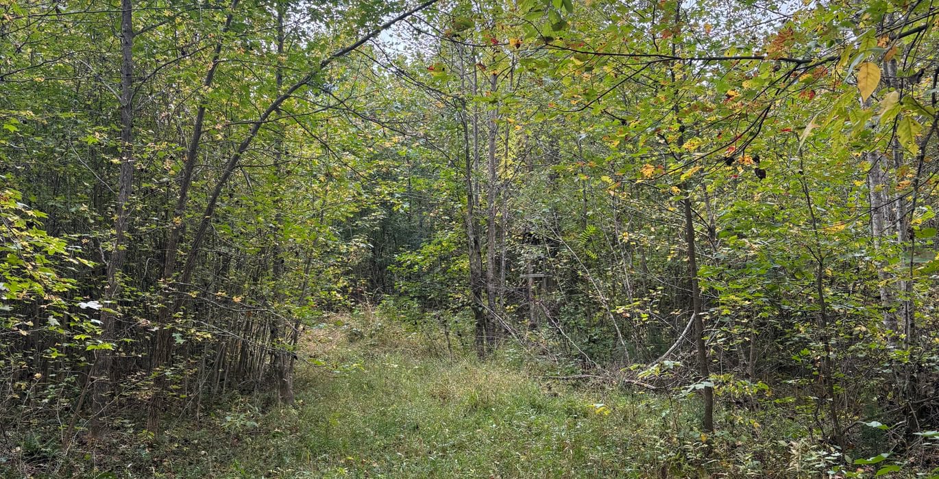 417 IMG 2982