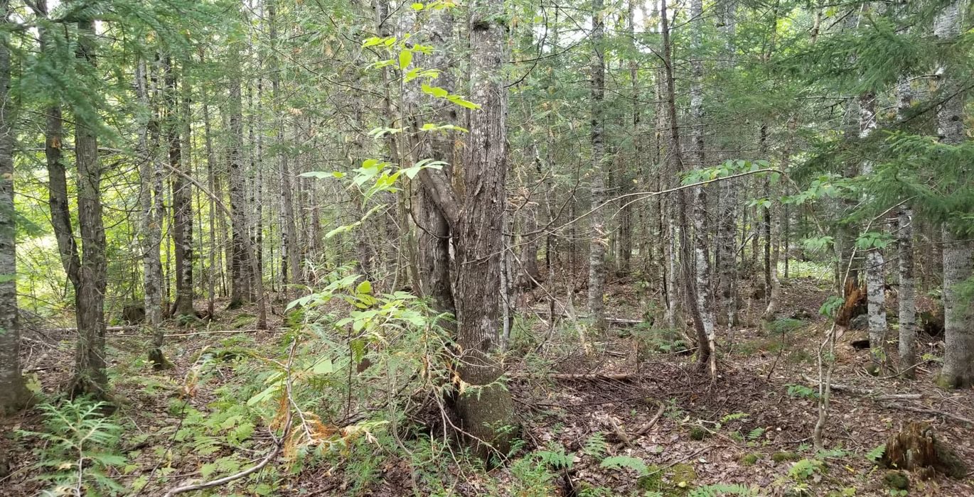 417 Land view 15