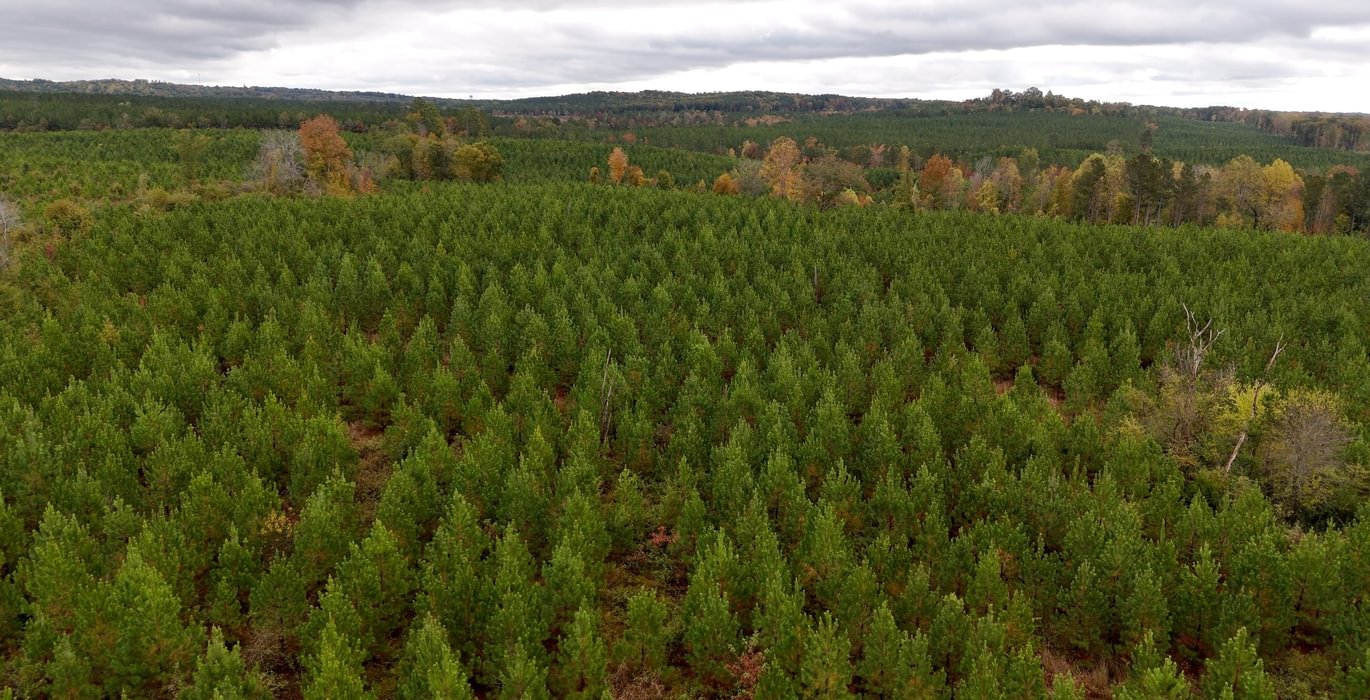 418 AFM Richmond 126 Tract Photo 15