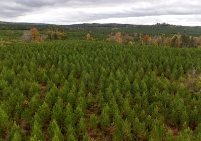 418 AFM Richmond 126 Tract Photo 15