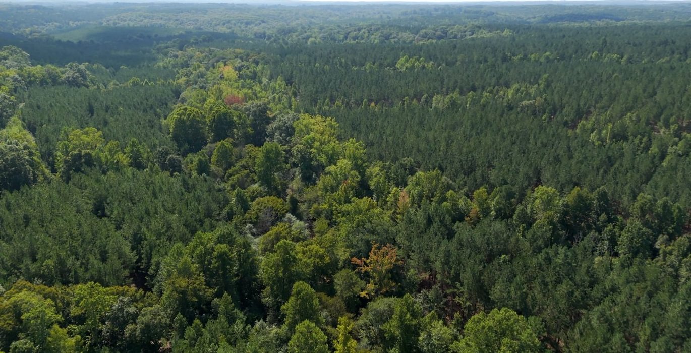 419 Cabin Creek Photo 30