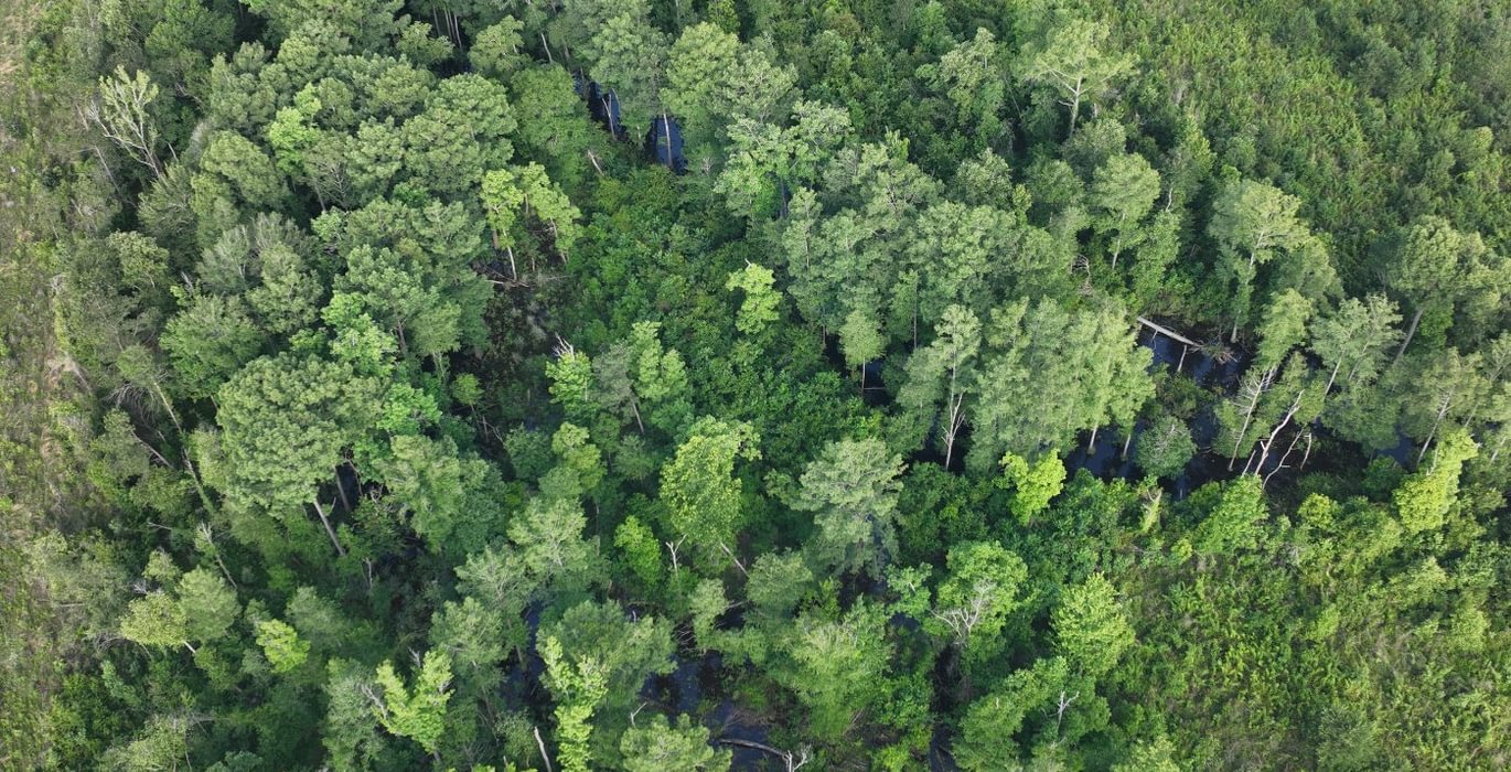419 DJI 20260529212629 0033 D