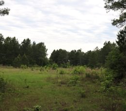 41 IMG 3764