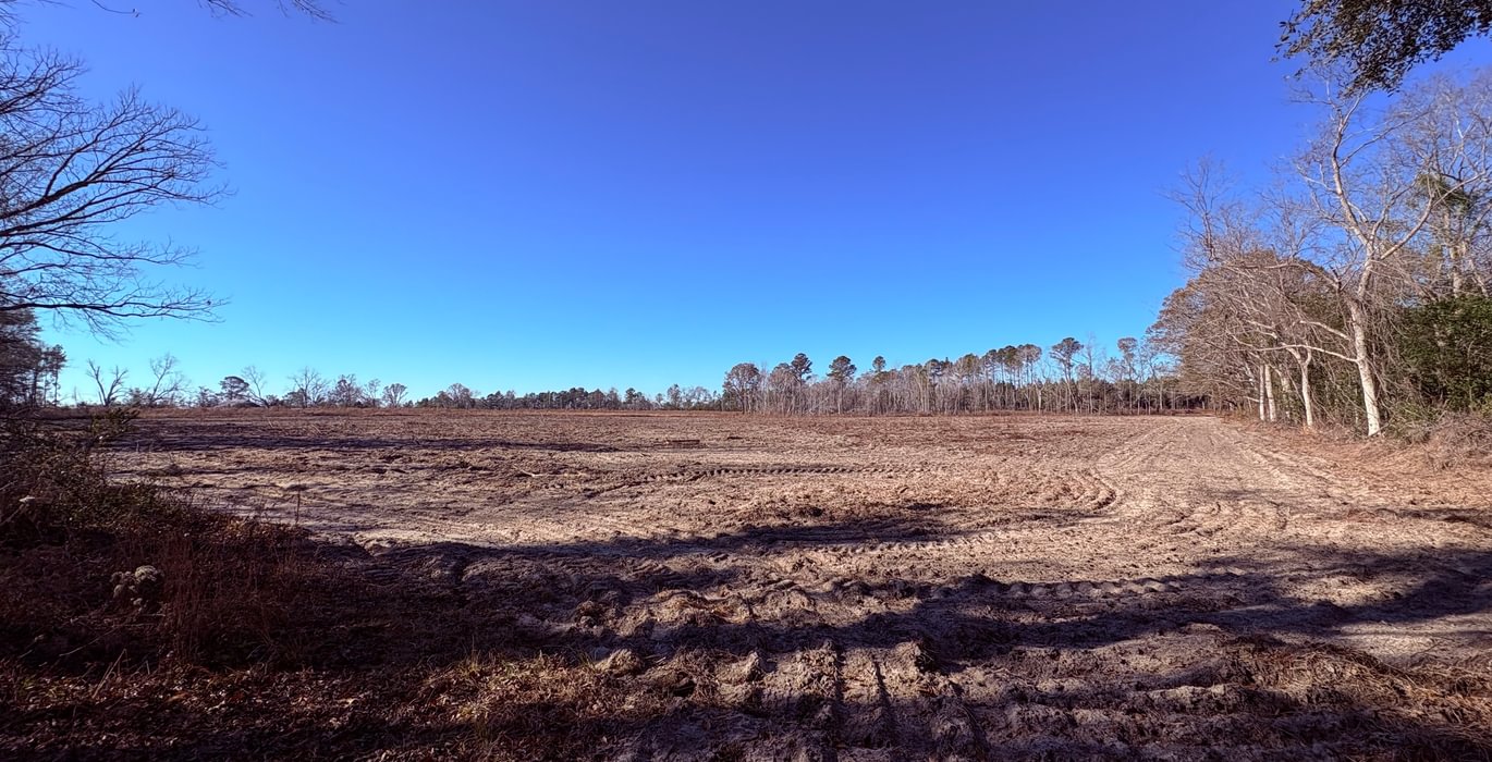 41 IMG 7117