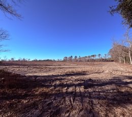 41 IMG 7117