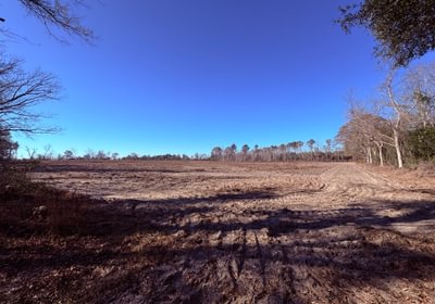 41 IMG 7117