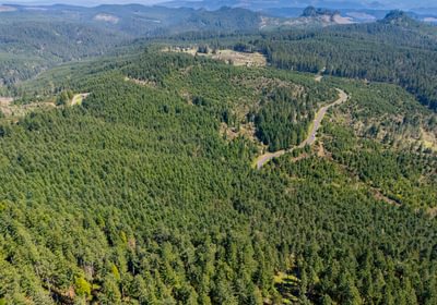420 overview 3