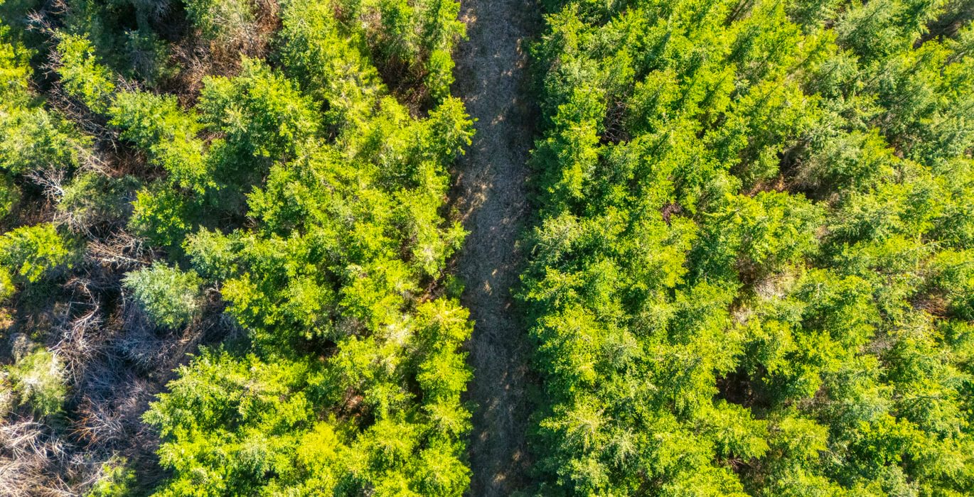 420 road 9