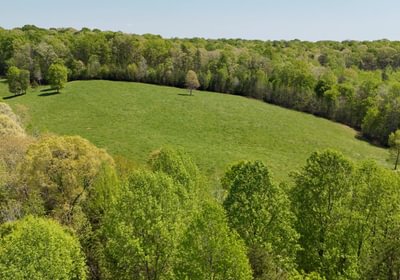 422 AFM Blue Q Ranch Photo 26