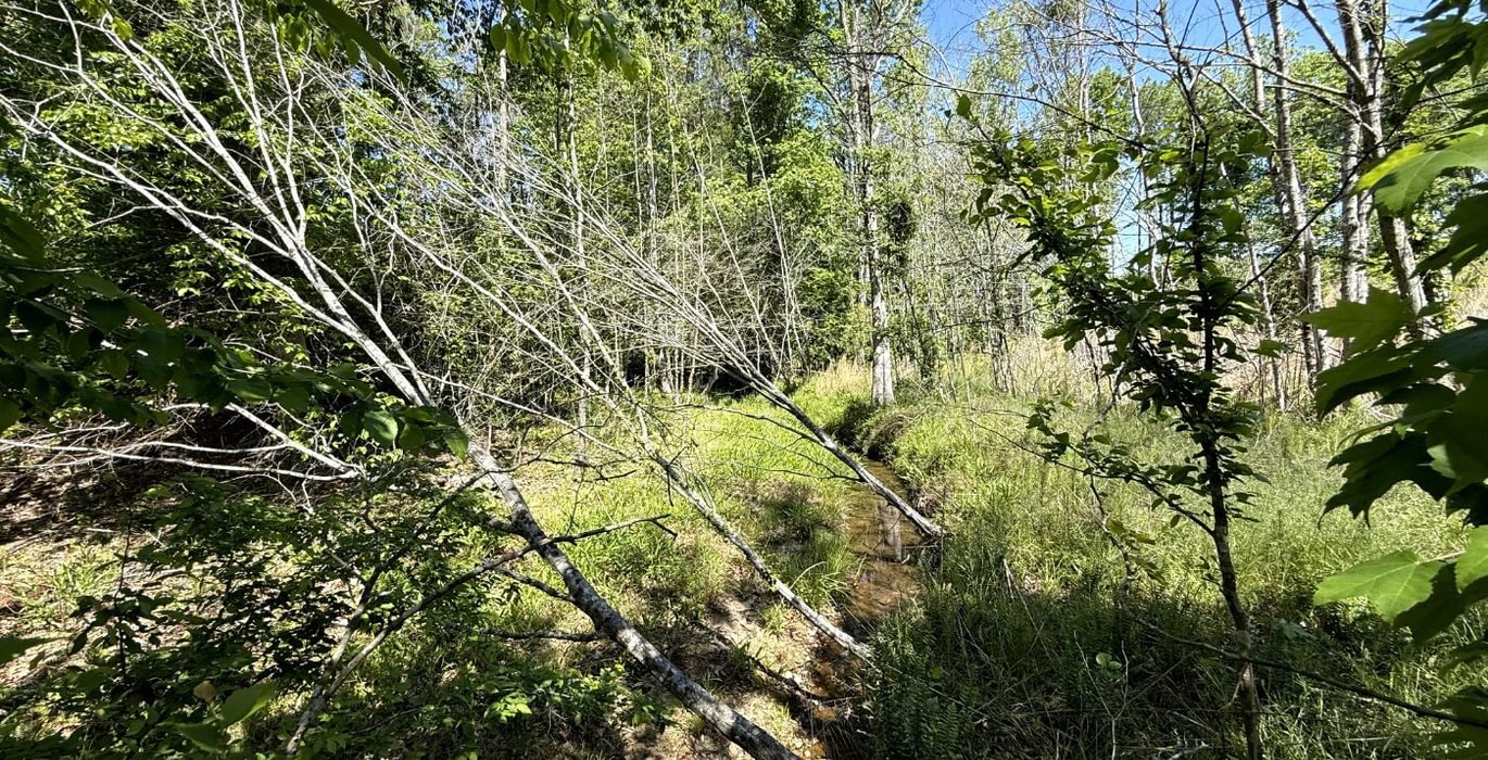 422 IMG 2824