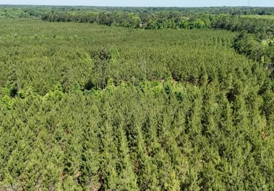 423 Horton Tract Photo 15