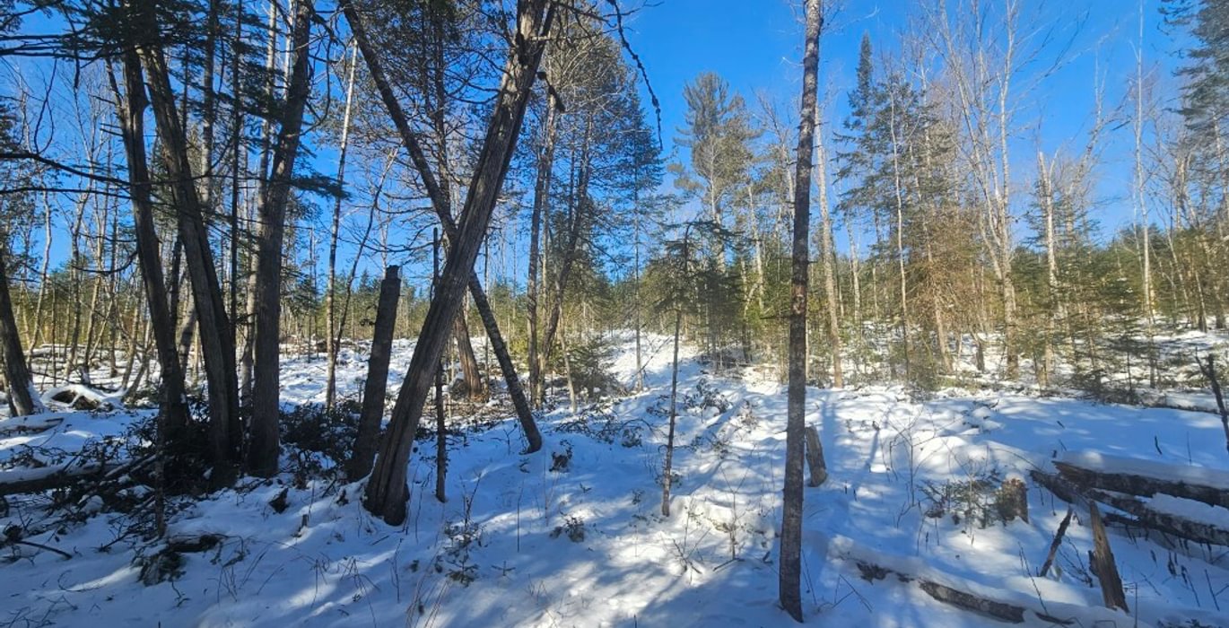 426 11 North lot