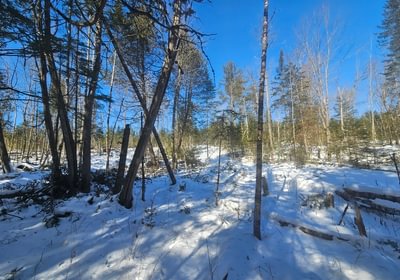 426 11 North lot