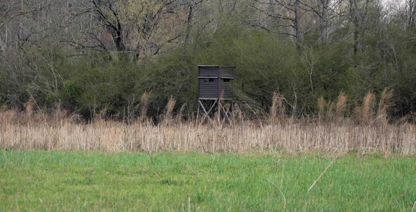 426 AFM West Fork 85 Photo 1