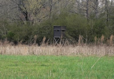 426 AFM West Fork 85 Photo 1