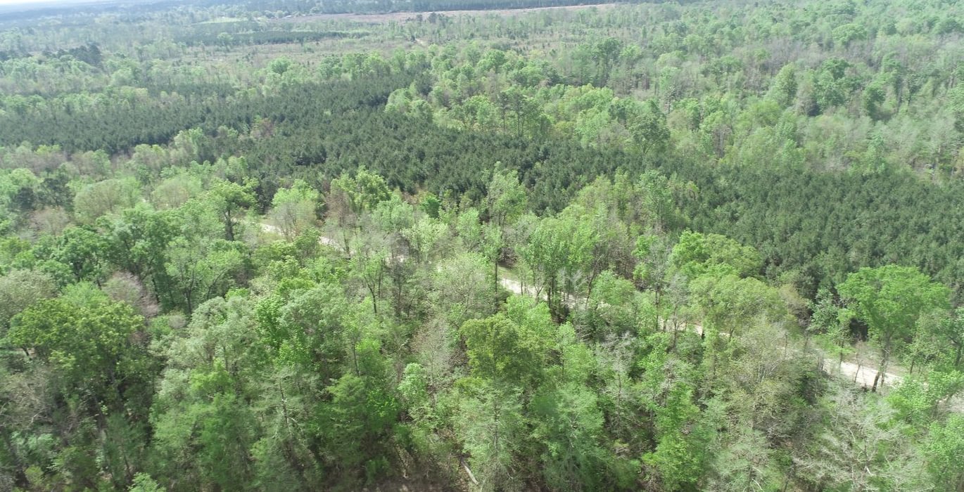 426 DJI 0142