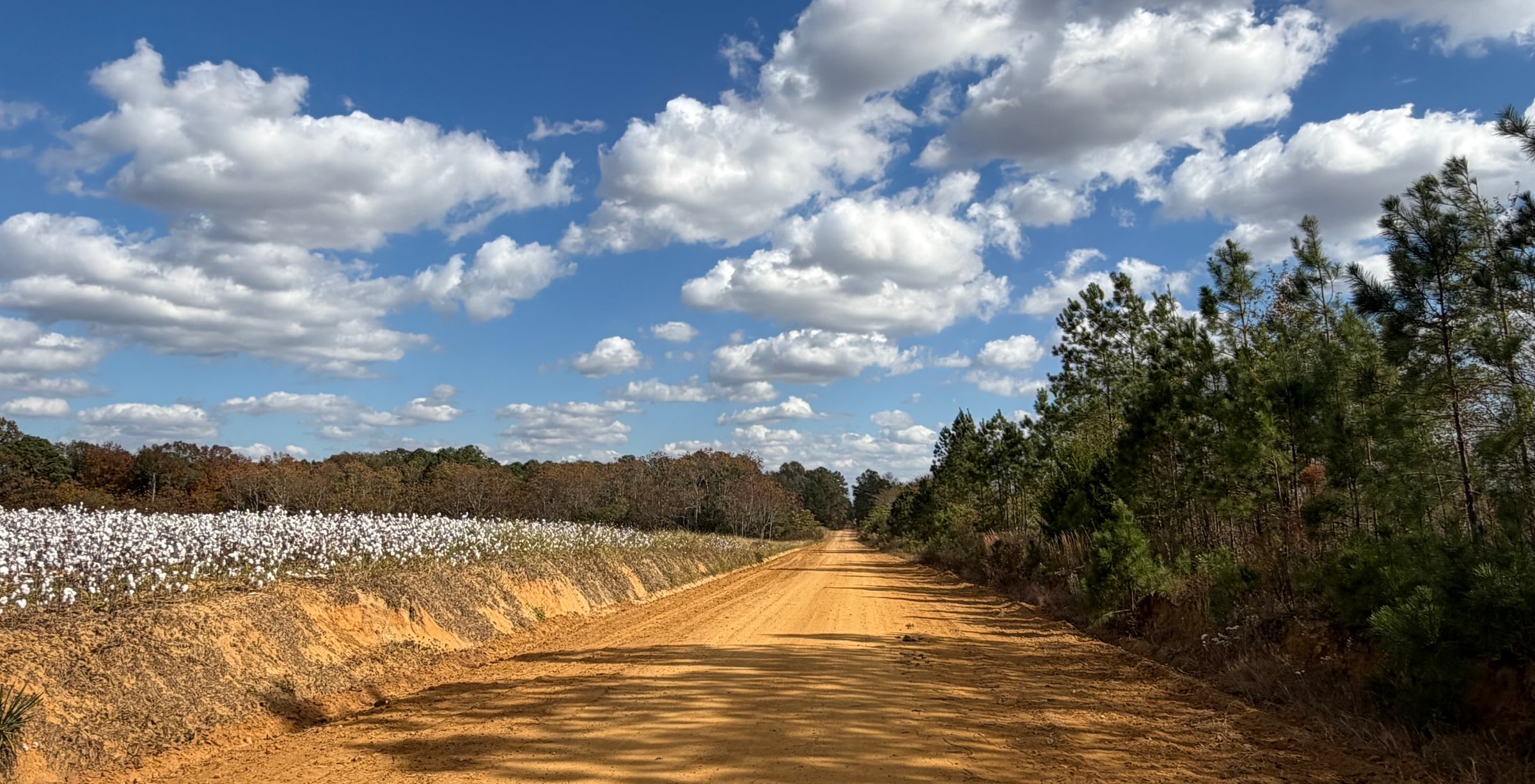 Photo 11 of Dooly County - Edwards Rd Farms, 101 acres, Dooly County, Georgia