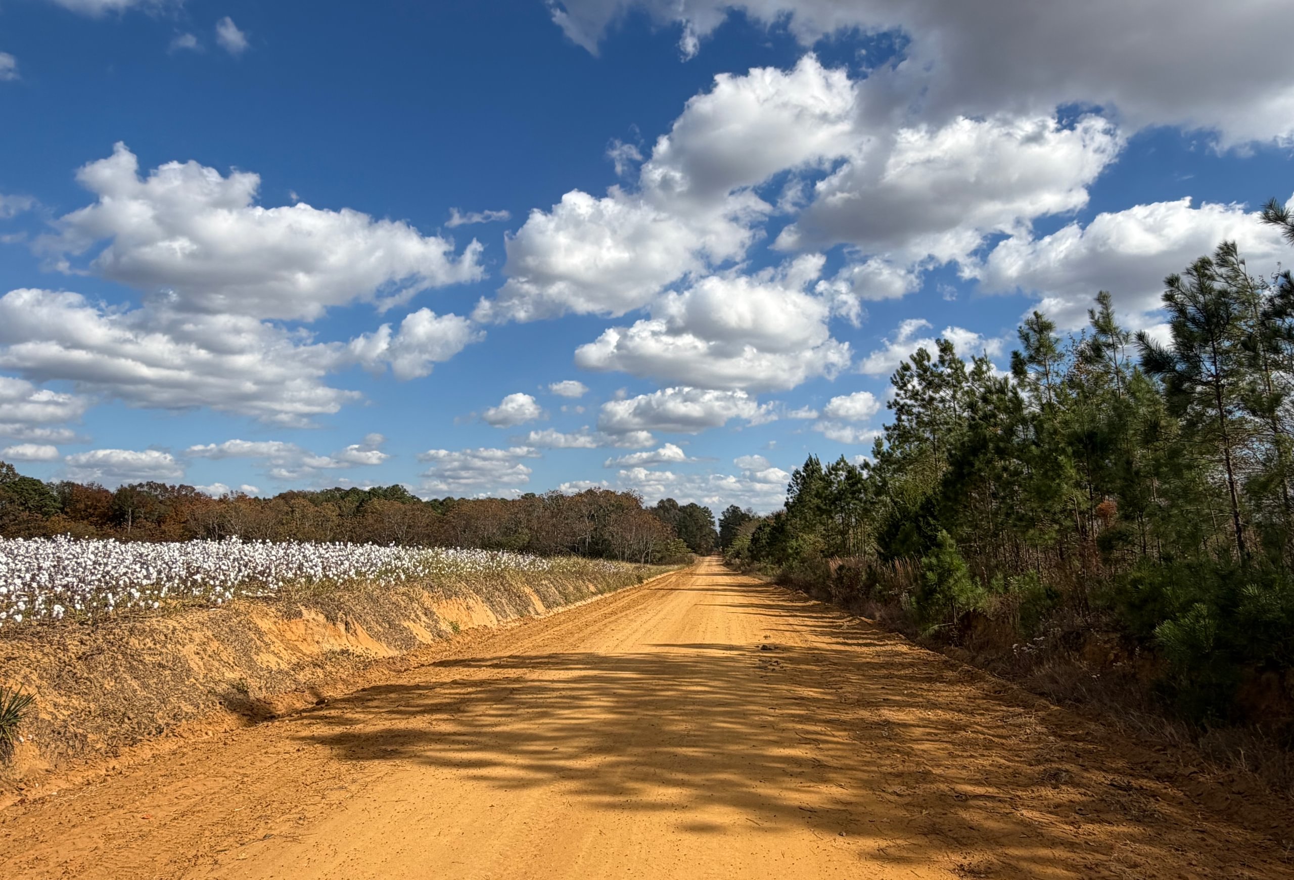 Photo 11 of Dooly County - Edwards Rd Farms, 101 acres, Dooly County, Georgia