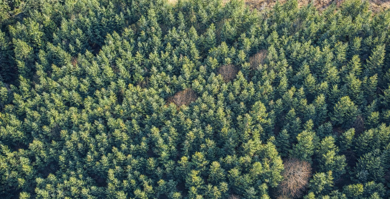 427 Chat GPT Image Jan 13 2026 at 04 45 16 PM