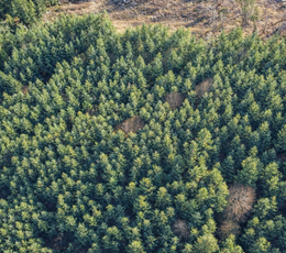 427 Chat GPT Image Jan 13 2026 at 04 45 16 PM