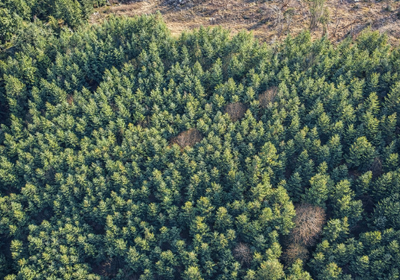 427 Chat GPT Image Jan 13 2026 at 04 45 16 PM