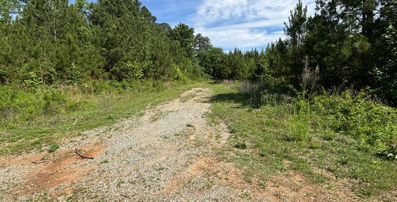 427 IMG 6739