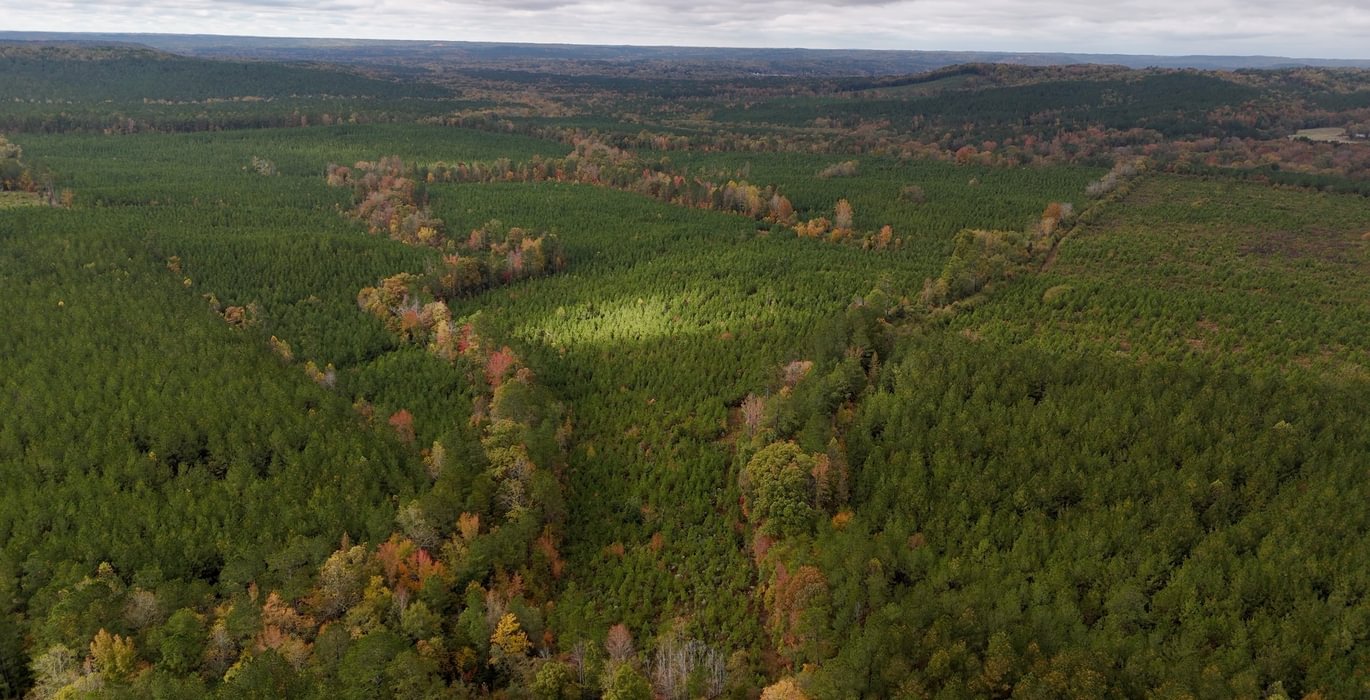 428 AFM Richmond 126 Tract Photo 4