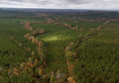 428 AFM Richmond 126 Tract Photo 4