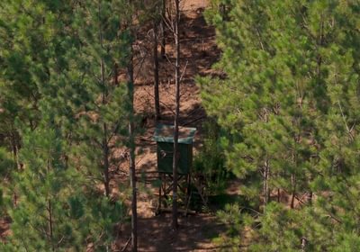 42 Cabin Creek Photo 32
