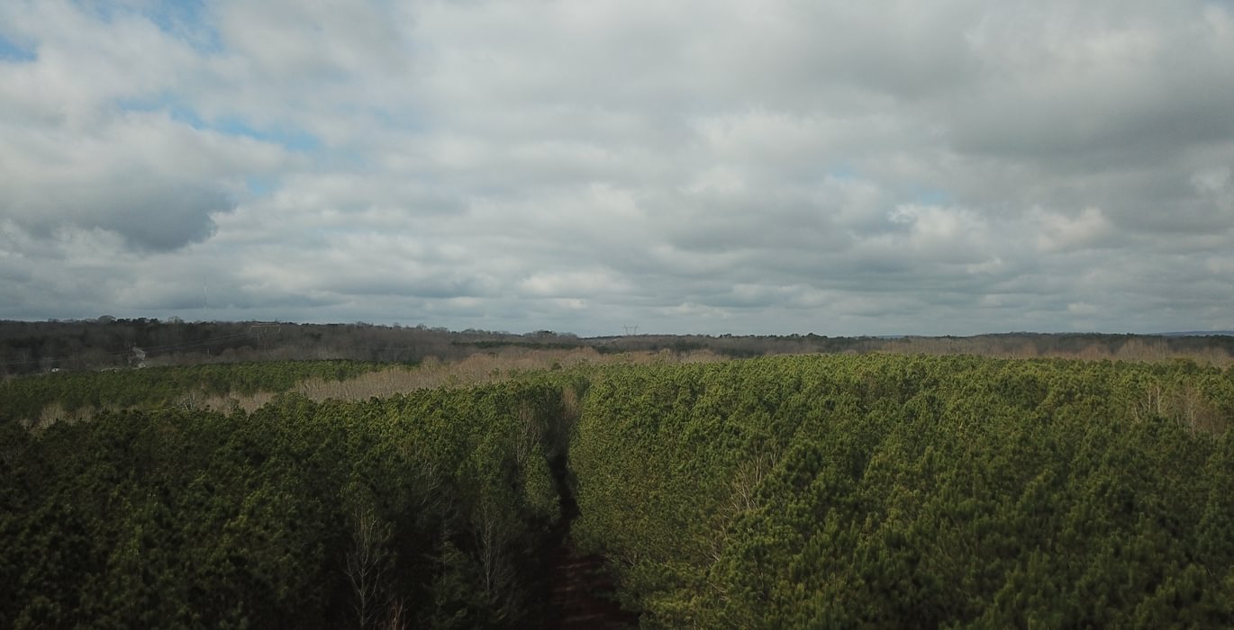 42 DJI 0042