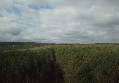 42 DJI 0042
