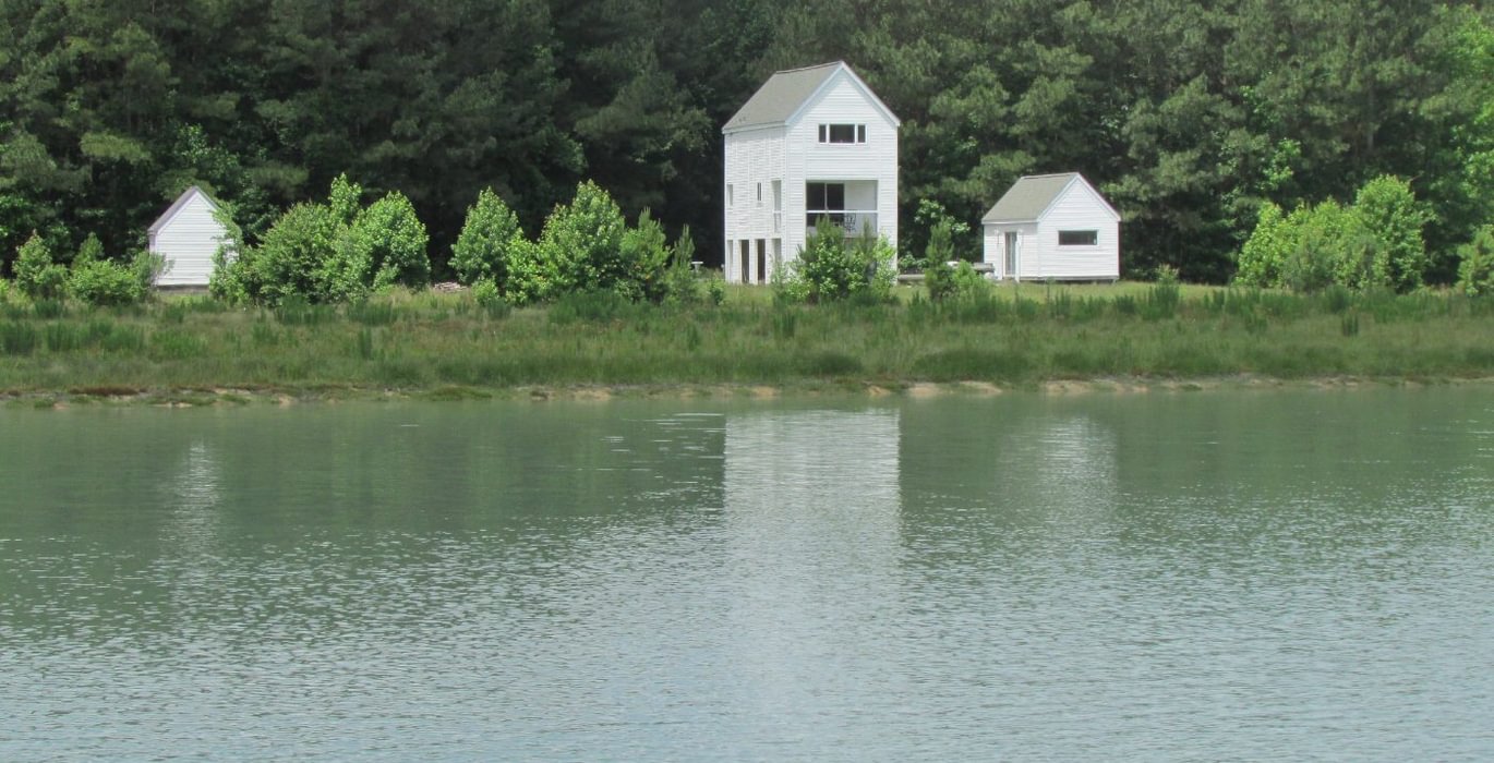 42 IMG 1078