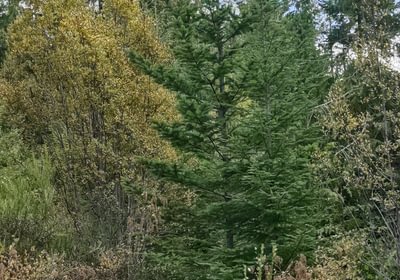 430 IMG 20240923 133918698 HDR
