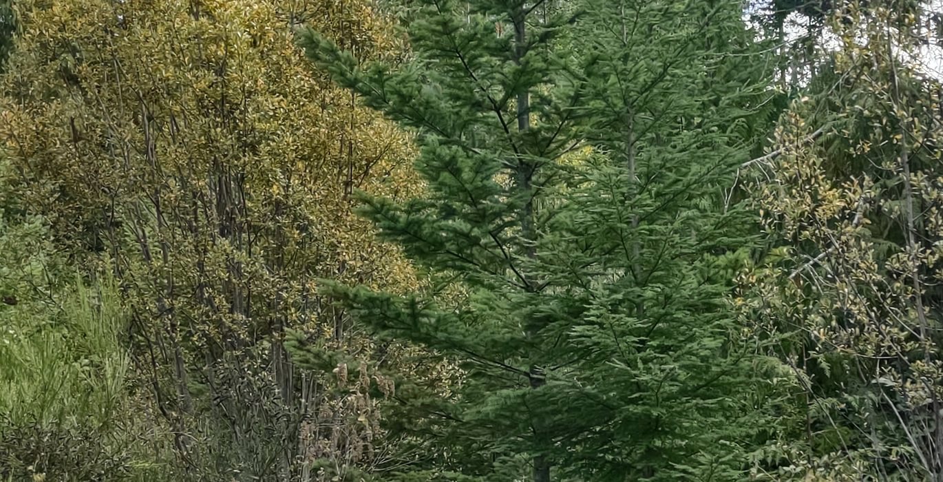 430 IMG 20240923 133918698 HDR