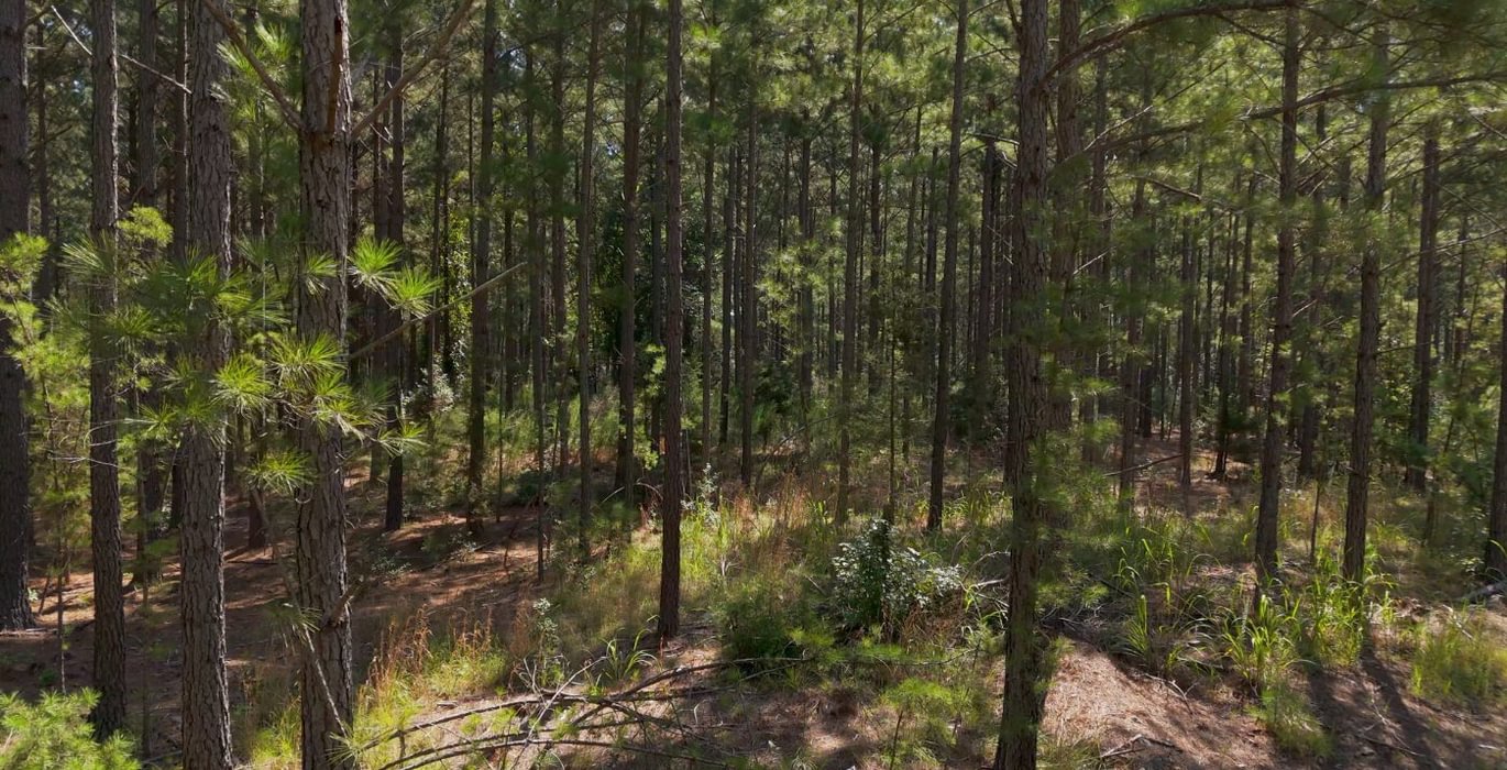 431 Cabin Creek Photo 34