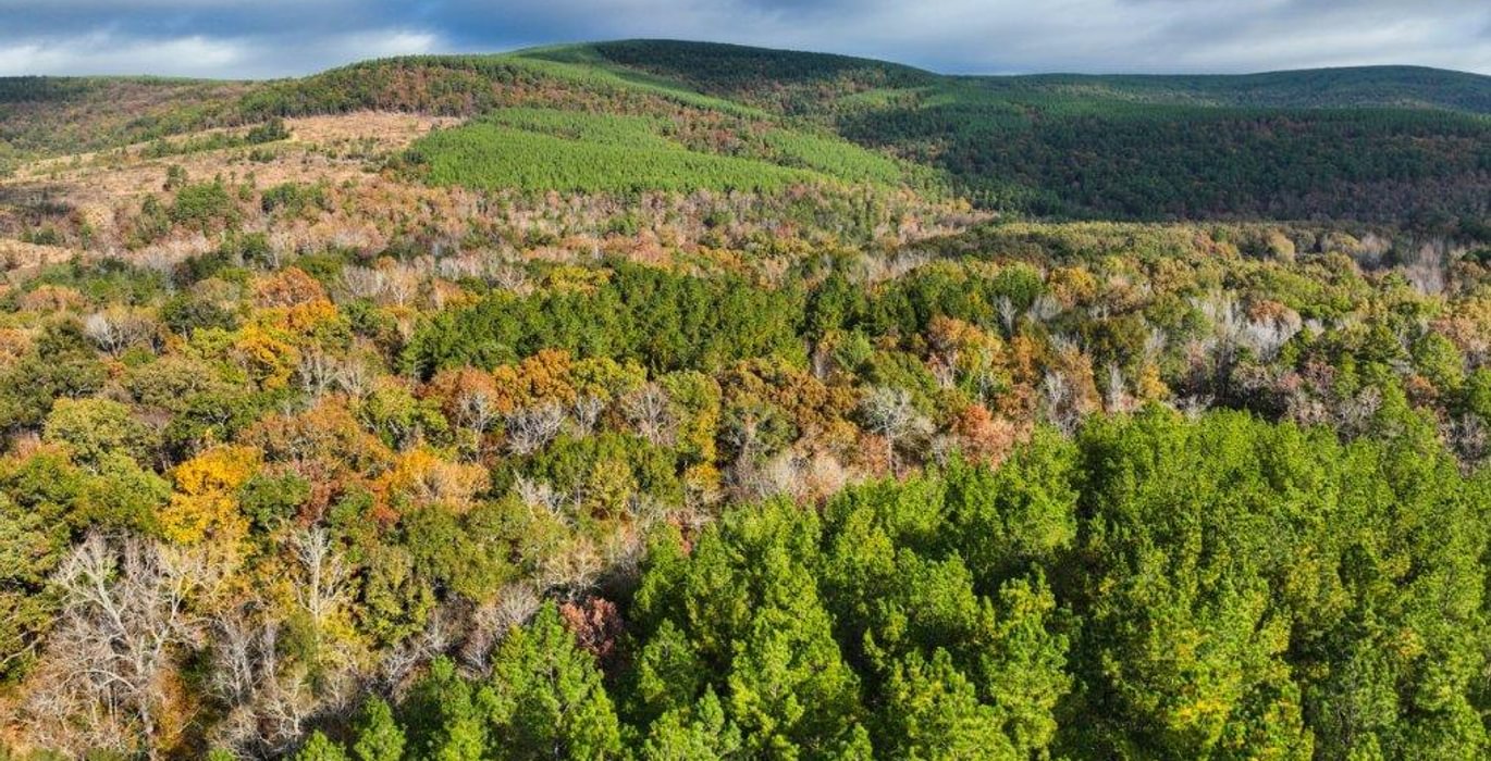 431 DJI 20251113092536 0007 V